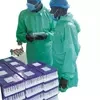 Medical Consumables Glass/PET Lavender/Purple Cover K2 K3 EDTA Vials Disposable Vacuum Blood Collection Tube EDTA Tube
